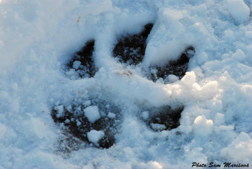 395961_308433885864695_186150014759750_839460_180560797_n