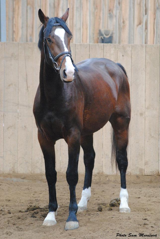 420278_341083672599716_186150014759750_917498_875093211_n