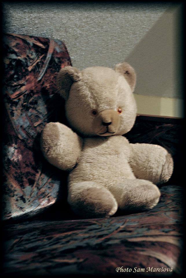 398098_306177346090349_186150014759750_833278_1662152707_n